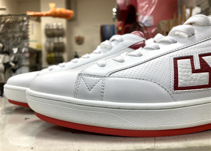 ���B�g���̃X�j�[�J�[�\�[���⋭�A2