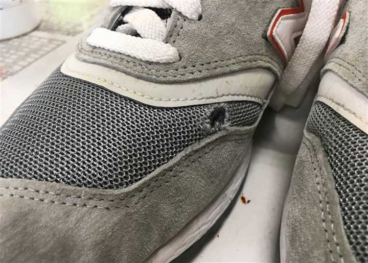 �j���[�o�����X997�̃��b�V���j��C���A1