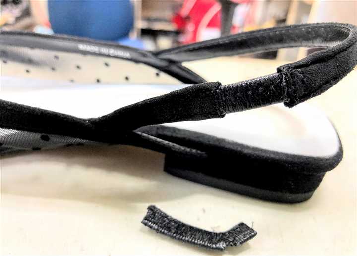 �T���_���̃o�b�N�o���h�S�������C���A1