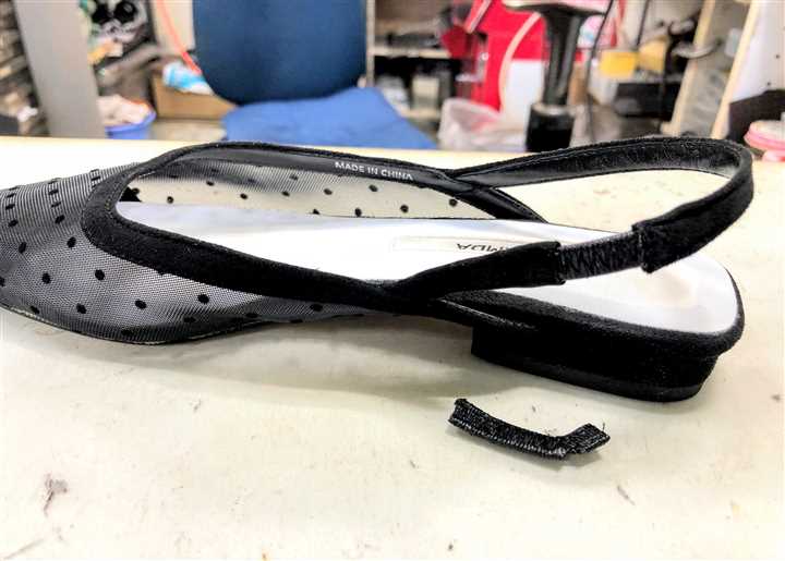 �T���_���̃o�b�N�o���h�S�������C���A2